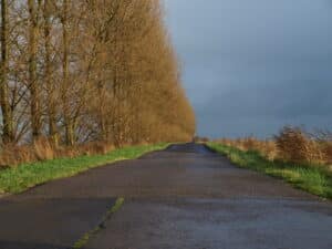 Bumps In The Road