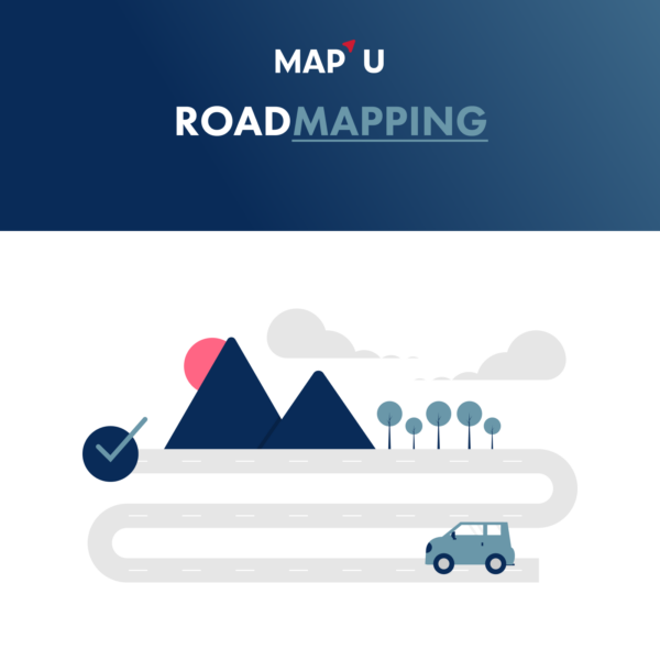 RoadMAPPING